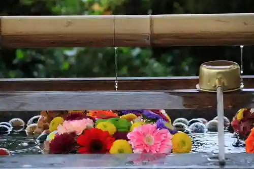 豊景神社の手水