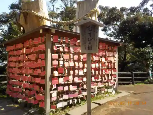 江島神社の絵馬