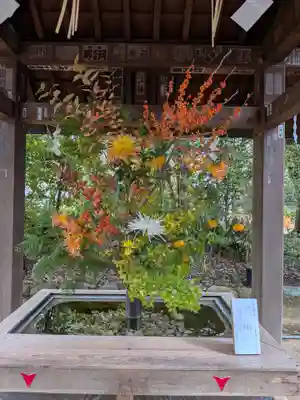 赤坂氷川神社(東京都)