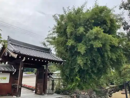 達磨寺の山門