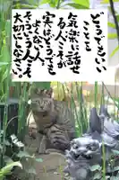 専念寺の動物