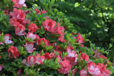 国宝 大法寺(長野県)