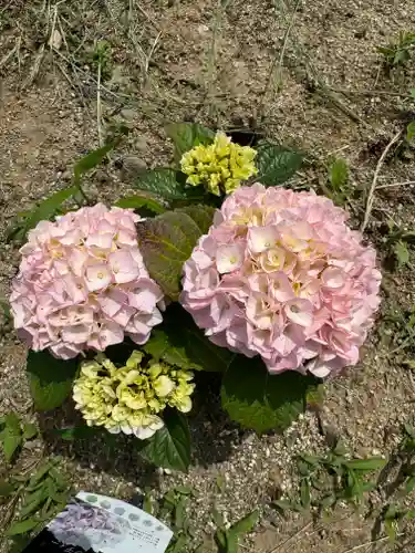 熊野福藏神社(福島県)