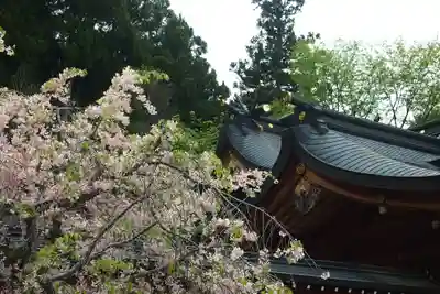 丹生川上神社（上社）(奈良県)