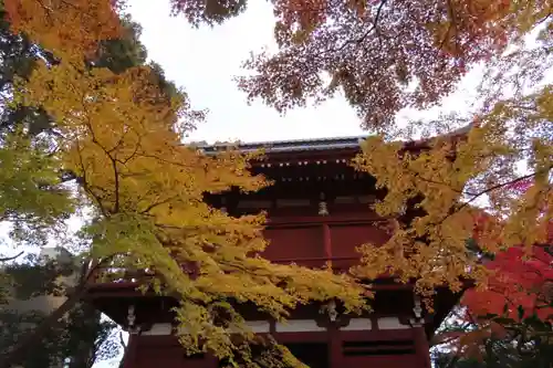 本土寺のその他建物