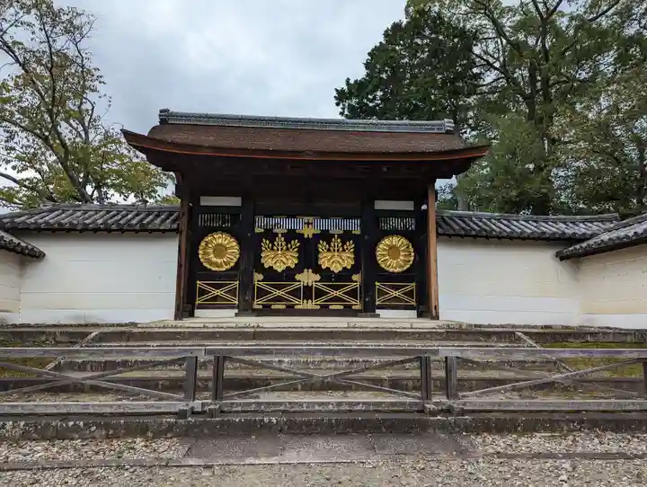 醍醐寺(京都府)
