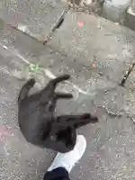 清水寺(愛知県)