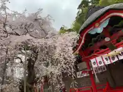 小川諏訪神社の自然