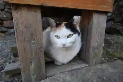 唐澤山神社(栃木県)