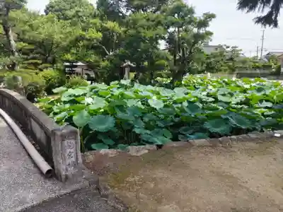 雲龍山 本證寺(愛知県)