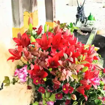 彌彦神社　(伊夜日子神社)の手水舎