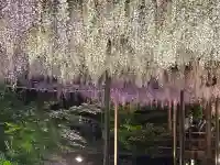 秋葉神社の{uncategorized: "未分類", other: "その他", undefined: "問題あり", building: "その他建物", grave: "お墓", sacred_gate: "鳥居", guardian: "狛犬", statue: "像", buddha: "仏像", history: "歴史", nature: "自然", garden: "庭園", animal: "動物", pagoda: "塔", temizu: "手水舎", mountain_gate: "山門・神門", sanctuary: "本殿・本堂", subordinate: "末社・摂社", art: "芸術", scenery: "景色", jizo: "地蔵", ema: "絵馬", goshuin: "御朱印", omikuji: "おみくじ", items: "授与品その他", amulet: "お守り", goshuincho: "御朱印帳", eats: "食事", festival: "お祭り", votive_dance: "神楽", shichigosan: "七五三参", wedding: "結婚式", experience: "体験その他", initially: "初詣", around: "周辺", anti_infection: "感染症対策"}