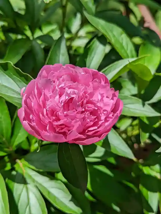 惠心院(京都府)