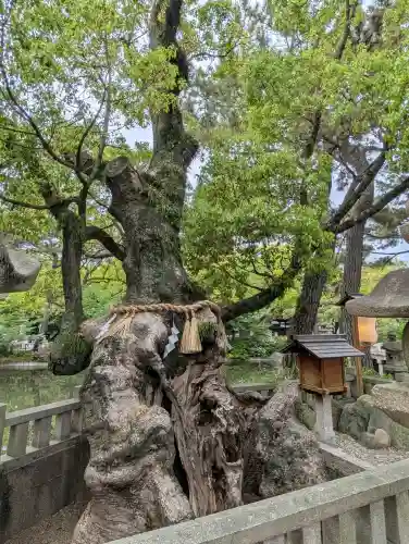 住吉大社の{uncategorized: "未分類", other: "その他", undefined: "問題あり", building: "その他建物", grave: "お墓", sacred_gate: "鳥居", guardian: "狛犬", statue: "像", buddha: "仏像", history: "歴史", nature: "自然", garden: "庭園", animal: "動物", pagoda: "塔", temizu: "手水舎", mountain_gate: "山門・神門", sanctuary: "本殿・本堂", subordinate: "末社・摂社", art: "芸術", scenery: "景色", jizo: "地蔵", ema: "絵馬", goshuin: "御朱印", omikuji: "おみくじ", items: "授与品その他", amulet: "お守り", goshuincho: "御朱印帳", eats: "食事", festival: "お祭り", votive_dance: "神楽", shichigosan: "七五三参", wedding: "結婚式", experience: "体験その他", initially: "初詣", around: "周辺", anti_infection: "感染症対策"}