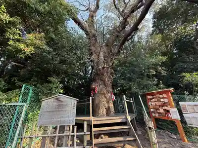 城山八幡宮(愛知県)