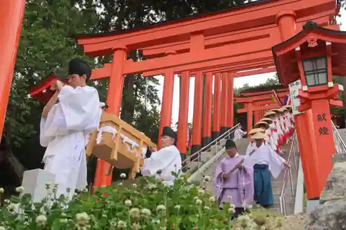 高屋敷稲荷神社のお祭り