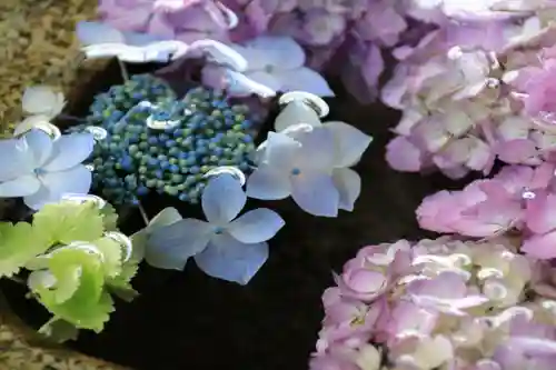 神炊館神社 ⁂奥州須賀川総鎮守⁂の手水舎