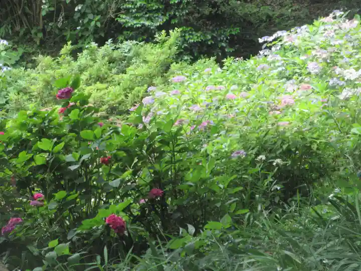 長壽寺(長寿寺)(神奈川県)