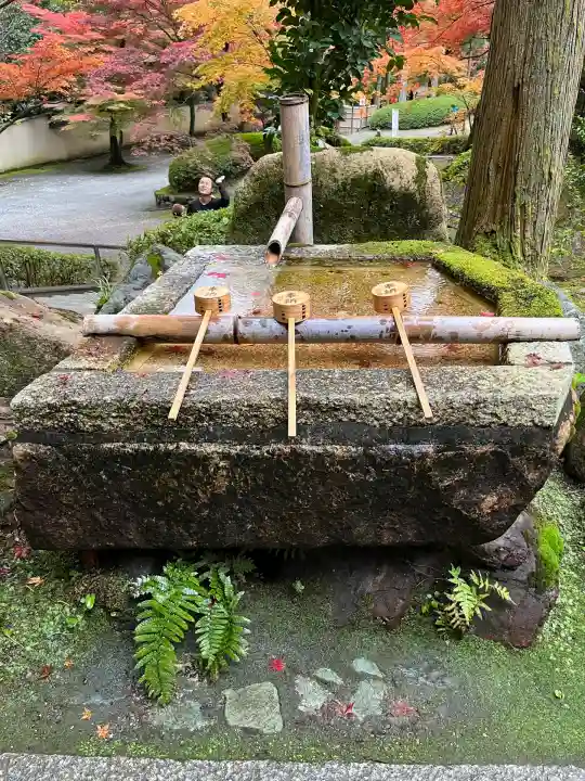 今熊野観音寺(京都府)