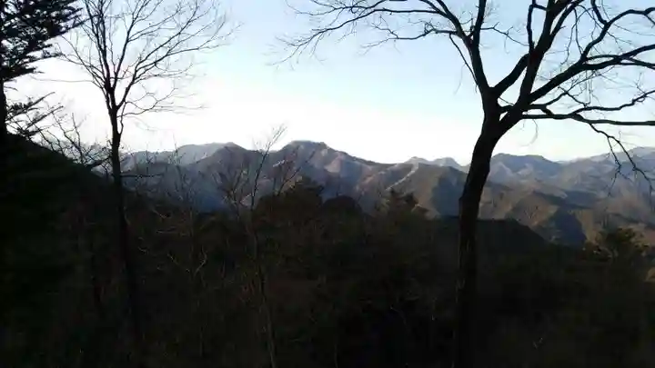 天龍寺(埼玉県)