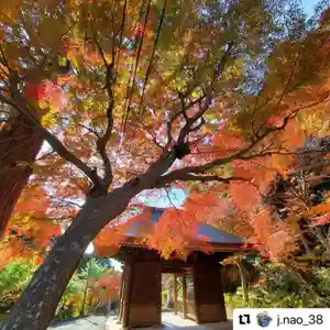 普門寺(切り絵御朱印発祥の寺)の山門・神門(2020年12月18日(金) 22時11分39秒投稿)