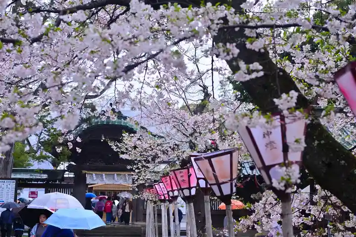 三嶋大社(静岡県)