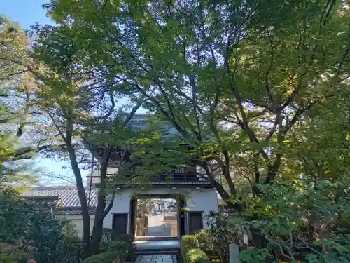 元慶寺(京都府)