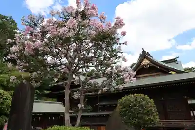 赤羽八幡神社(東京都)