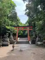 春日大社(奈良県)