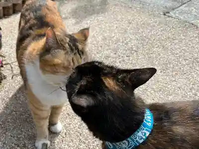 秩父札所十三番 慈眼寺(埼玉県)