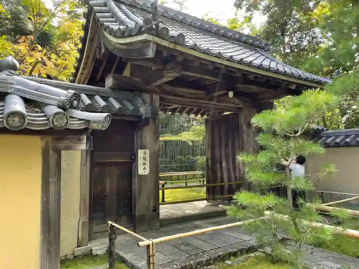 高桐院(京都府)