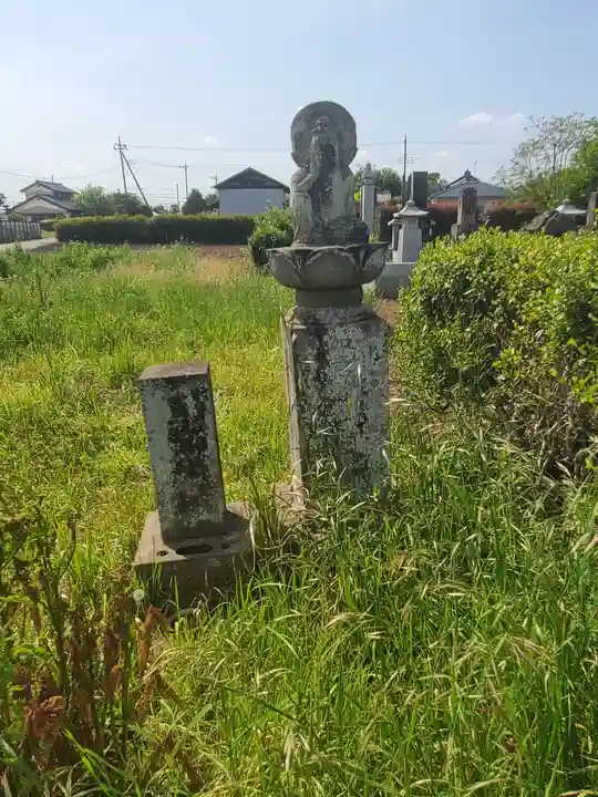 蓮蔵院跡(廃寺)(群馬県)
