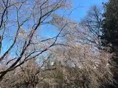 大宮温泉神社の自然