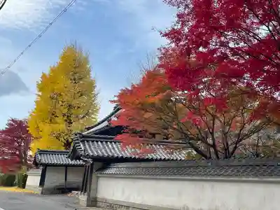 本誓寺(東本誓寺)(滋賀県)
