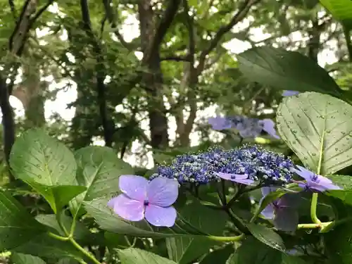 普元寺の自然