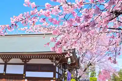 密藏院(埼玉県)