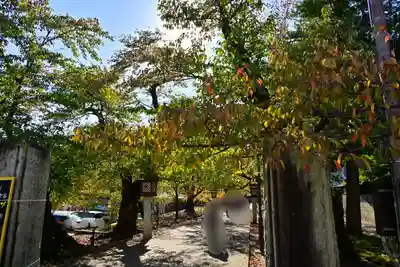 彌彦神社(新潟県)