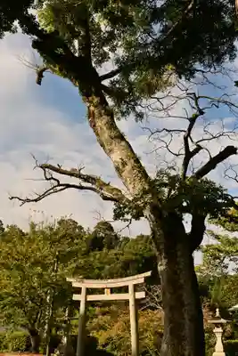 佐比賣山神社(島根県)