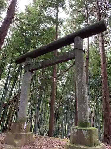 吉野神社の鳥居