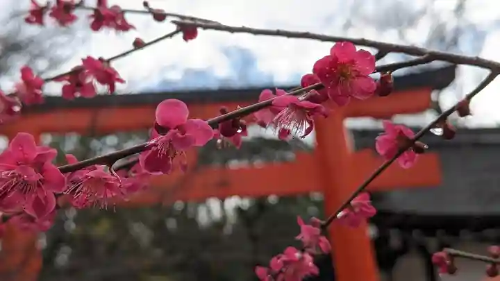 賀茂御祖神社(下鴨神社)(京都府)