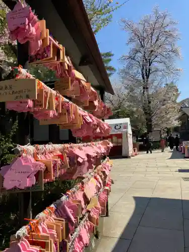 櫻木神社(千葉県)