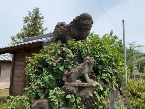 境香取神社の狛犬