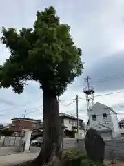 長徳寺(神奈川県)