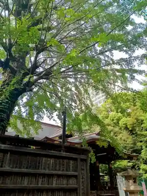 渋谷氷川神社(東京都)