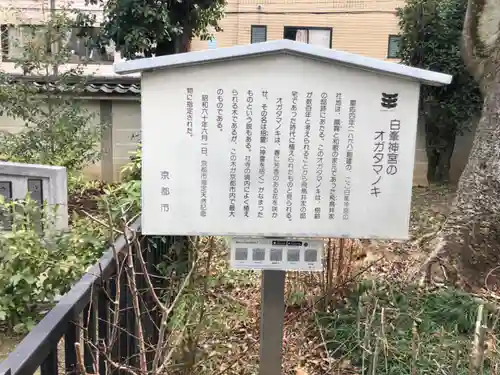 白峯神宮(京都府)