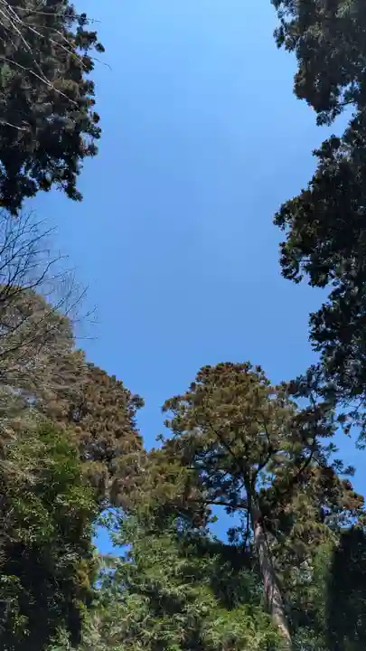 伊野天照皇大神宮(福岡県)