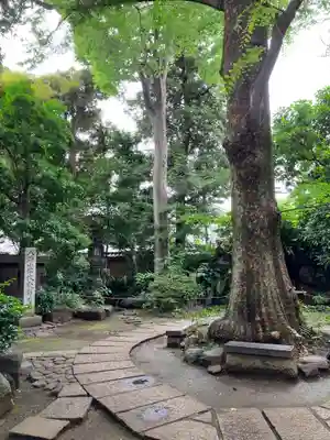 奥澤神社(東京都)
