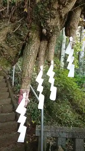 水使神社の自然