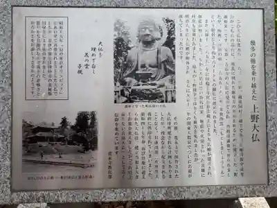 上野大佛の歴史