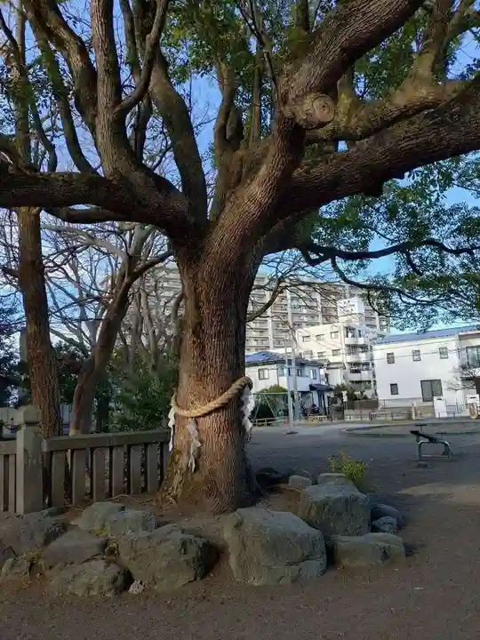 平塚三嶋神社(神奈川県)